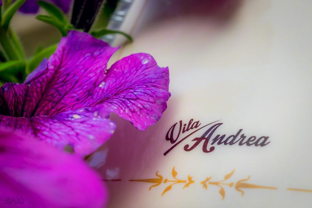 Motel Vila Andrea Sarajevo Luaran gambar